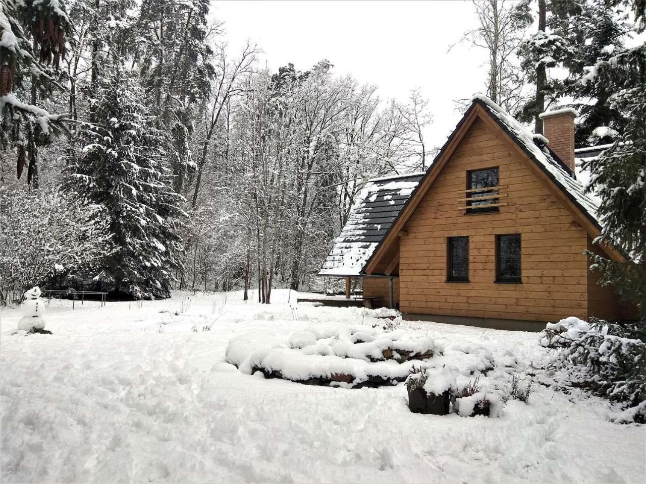 Villa Chata Eva à Planá nad Lužnicí Extérieur photo